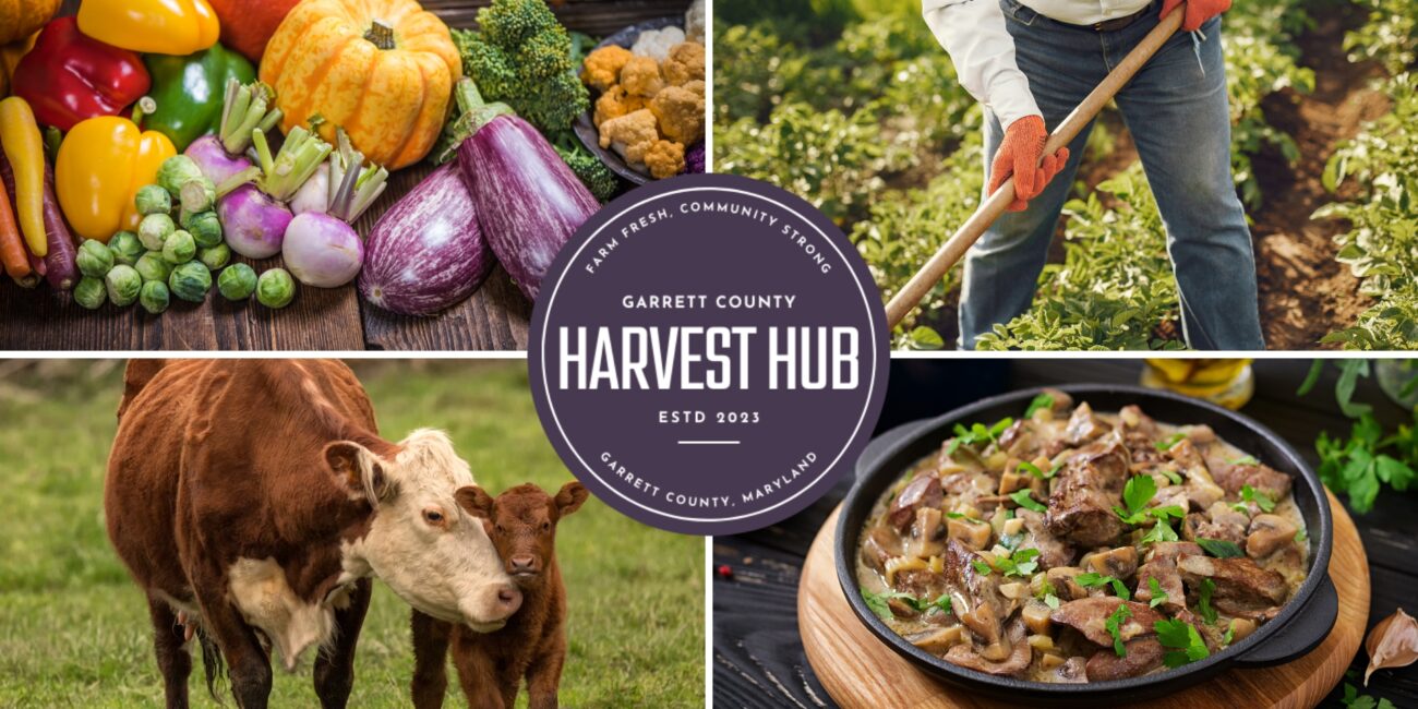Harvest Hub